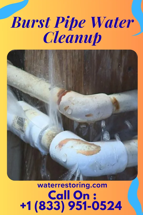Burst Pipe Water Cleanup in Rose Hill, KS