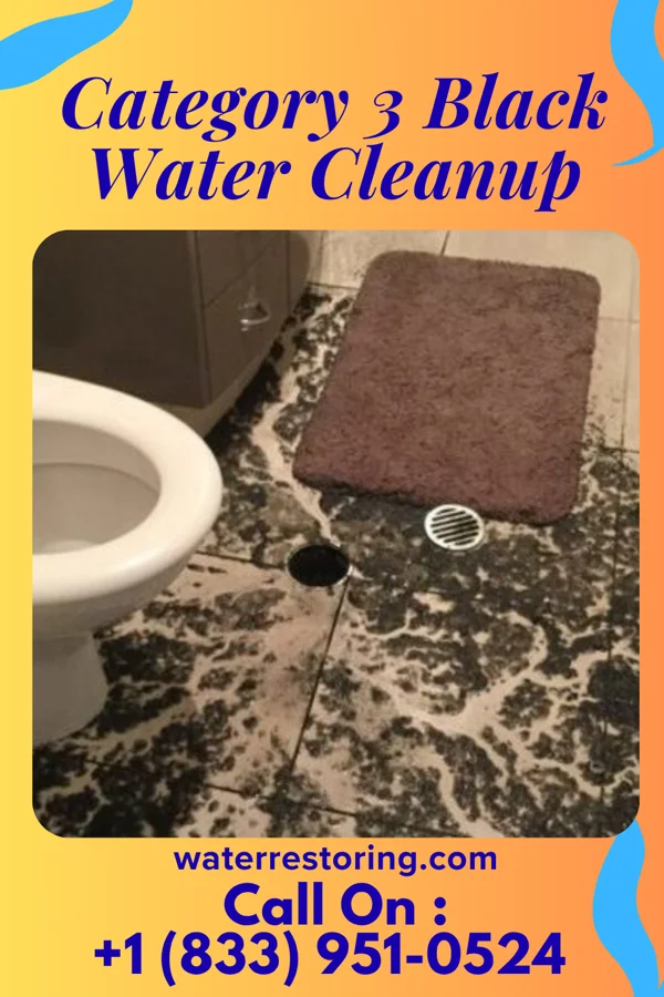Category 3 Black Water Cleanup in Rose Hill, KS