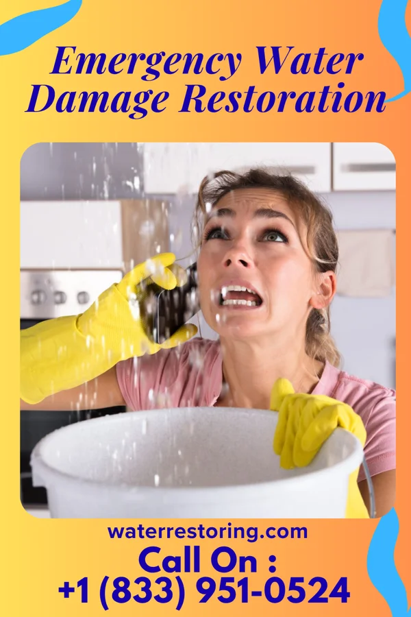 Emergency Water Damage Restoration in Rose Hill, KS