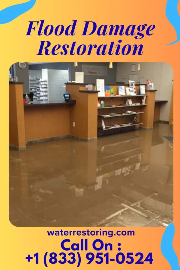 Flood Damage Restoration in Rose Hill, KS