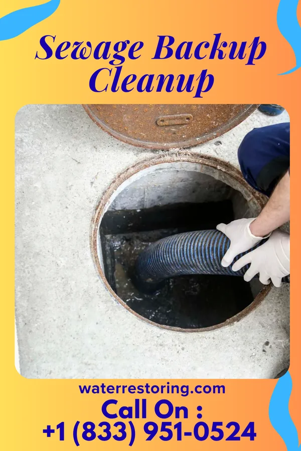 Sewage Backup Cleanup in Rose Hill, KS